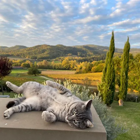 Apartman Incantevole Mugello